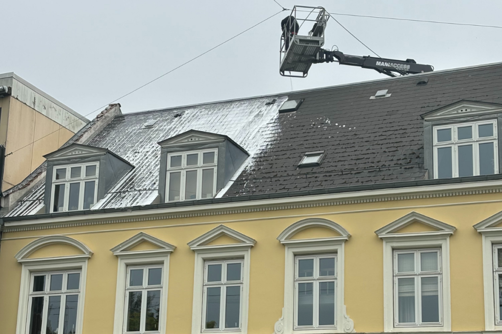 Algebehandling af tag på boligforening Frederiksberg